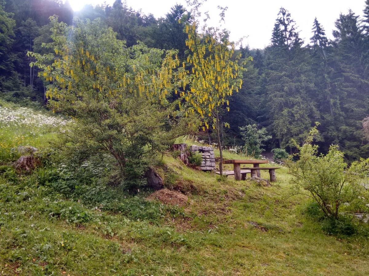 Agritur Manoncin Villa Daone Dış mekan fotoğraf