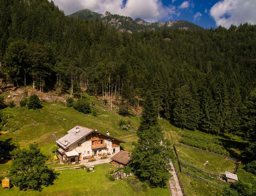 Agritur Manoncin Villa Daone Dış mekan fotoğraf