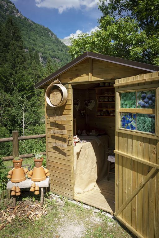 Agritur Manoncin Villa Daone Dış mekan fotoğraf