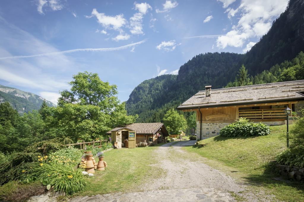 Agritur Manoncin Villa Daone Dış mekan fotoğraf