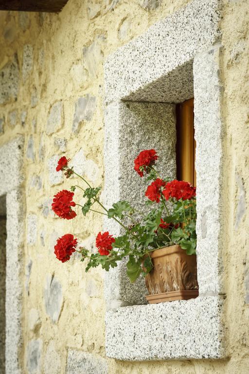 Agritur Manoncin Villa Daone Dış mekan fotoğraf