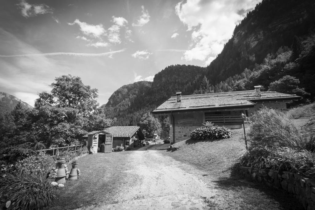 Agritur Manoncin Villa Daone Dış mekan fotoğraf